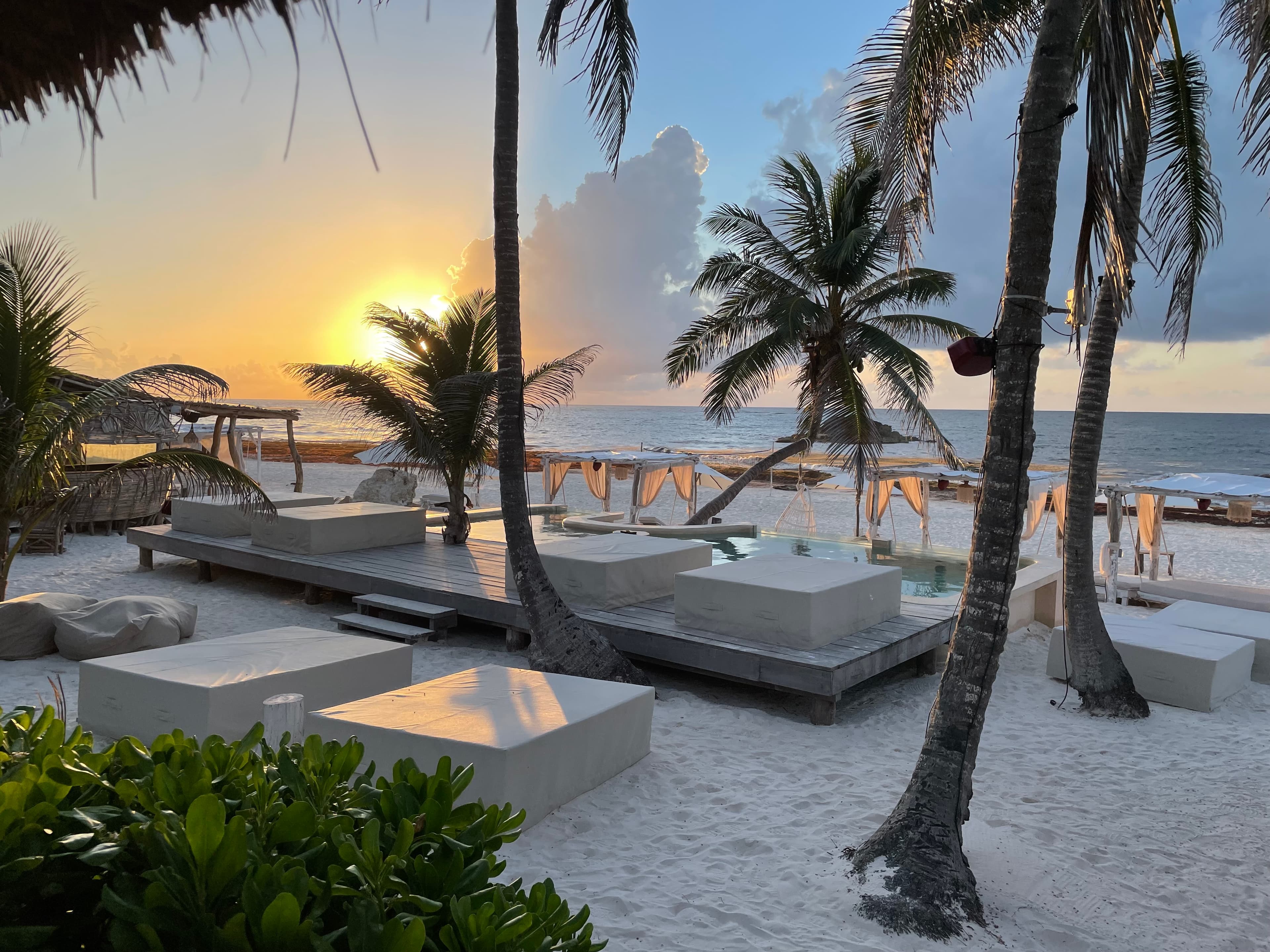 Atardecer sobre los lounges blancos y la palmera en Roc Luxe Tulum